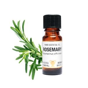 Rosmarin Eterisk olja 10 ml Amphora Aromatics