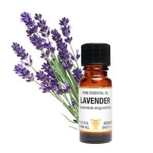 Lavendel Eterisk olja 10 ml Amphora Aromatics