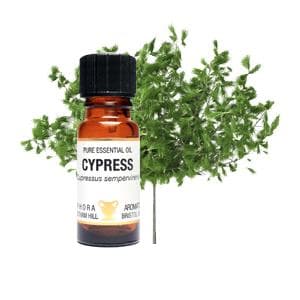 Cypress Eterisk olja 10 ml Amphora Aromatics