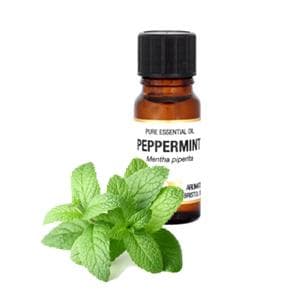 Pepparmint Eterisk olja 10 ml Amphora Aromatics