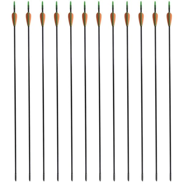 vidaXL Pilar för recurvebåge 12 st 30" 0,6 cm glasfiber