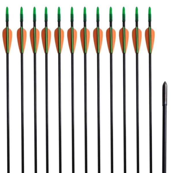 vidaXL Pilar för recurvebåge 12 st 30" 0,6 cm glasfiber