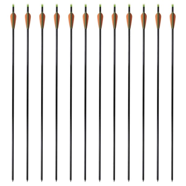 Standardi yhdistelmäjousen nuolet 30" 0,8 cm Lasikuitu 12 kpl -  Nuolet