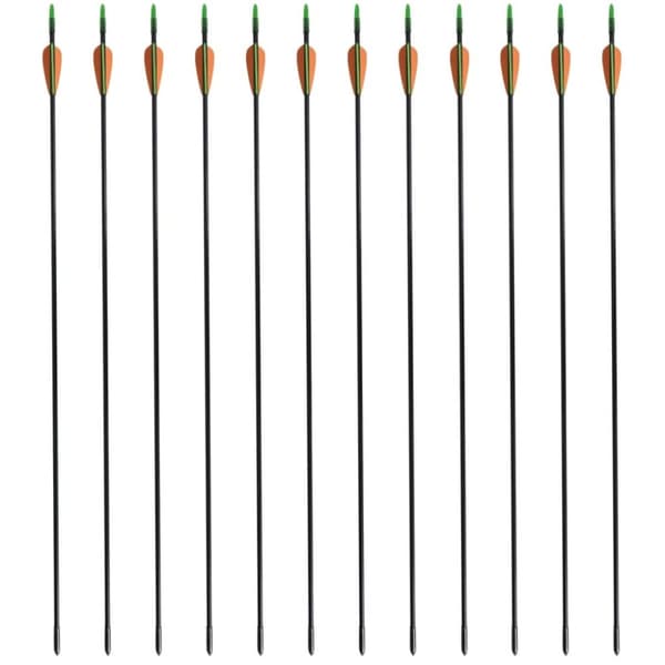 Pile - Living standard recurve buepile 12 stk. 30" 0,6 cm glasfiber