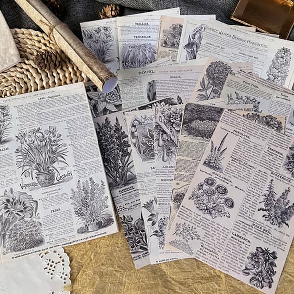 Scrapbookingpapper Herbs – 30 ark med botaniska motiv