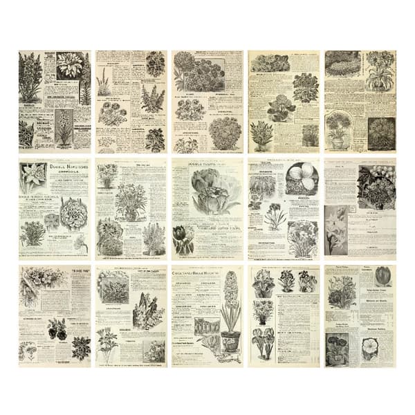 Scrapbookingpapper Herbs – 30 ark med botaniska motiv