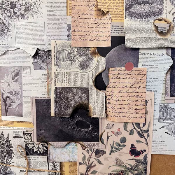 Scrapbookingpapper Flower Appreciation – 30 ark med blomstermotiv