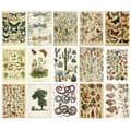 Miniatyrbilde 1 av 5: Scrapbookingpapir Everything Comes Back to Life - 30 ark med naturmotiv
