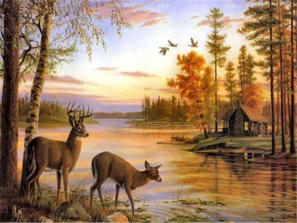 Gör-det-själv 5D-diamantmålning efter nummer Kits rådjur för vuxna barn Full borrkonst Kristallstrassbroderikors för hemväggdekor 30x40cm