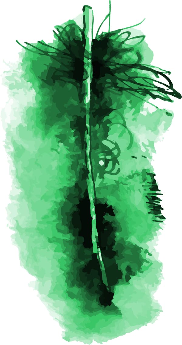 TEGNE blæk uudslettelig kalligrafi Indian INK Renesans GREEN 30ml