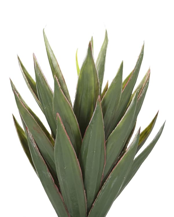 Konstgjord Aloe Vera Grön och Svart Syntet 52 cm Material Dekorativt inomhustillbehör