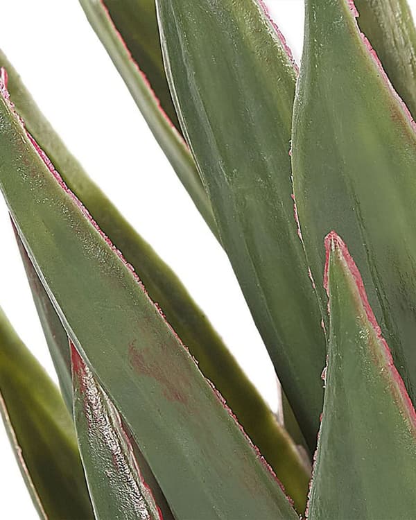 Konstgjord Aloe Vera Grön och Svart Syntet 52 cm Material Dekorativt inomhustillbehör