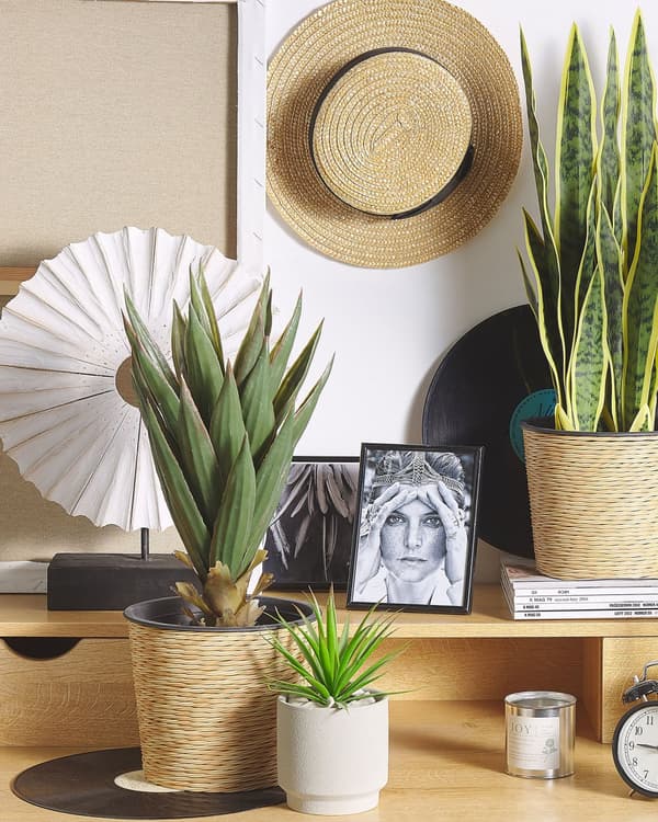 Konstgjord Aloe Vera Grön och Svart Syntet 52 cm Material Dekorativt inomhustillbehör