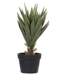 Miniatyrbild 1 av 6: Konstgjord Aloe Vera Grön och Svart Syntet 52 cm Material Dekorativt inomhustillbehör