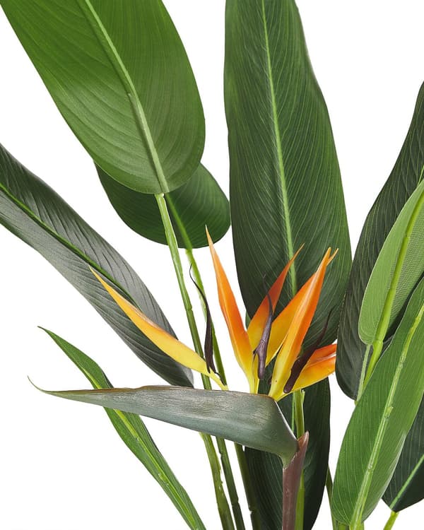 Paradisfugl Strelitzia Kunst Plante i Potte Grøn og sort syntetisk 115 cm Materiale Dekorativt indendørs tilbehør