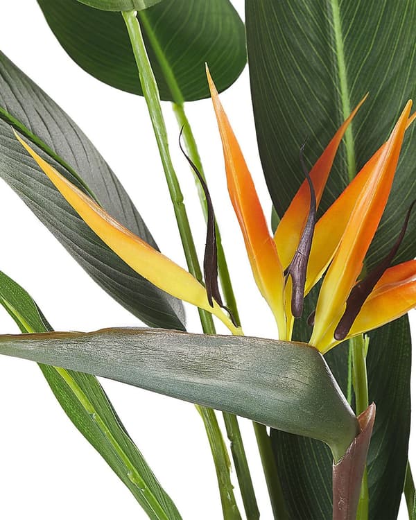 Paradisfugl Strelitzia Kunst Plante i Potte Grøn og sort syntetisk 115 cm Materiale Dekorativt indendørs tilbehør