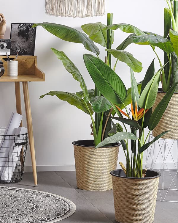 Paradisfugl Strelitzia Kunst Plante i Potte Grøn og sort syntetisk 115 cm Materiale Dekorativt indendørs tilbehør