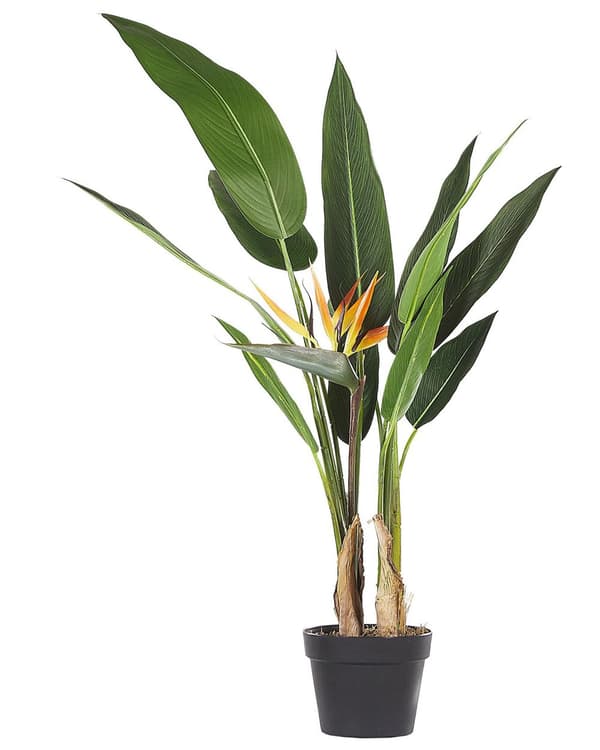 Paradisfugl Strelitzia Kunst Plante i Potte Grøn og sort syntetisk 115 cm Materiale Dekorativt indendørs tilbehør