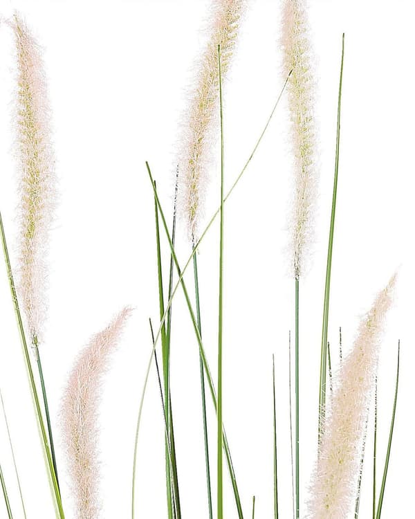 Kunstig Sivplante Grøn og Sort Syntetisk Plastik materiale 87 cm Græs Dekoration Indendørs Falsk Plante Design