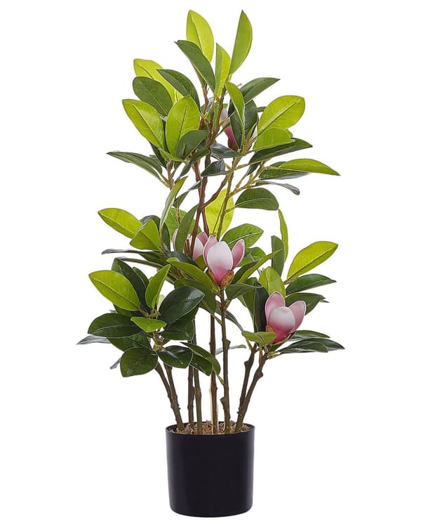 Tekokasvi vihreä vaaleanpunainen synteettinen materiaali ⌀ 35 x 70 cm magnolia ruukussa sisälle moderni tyyli