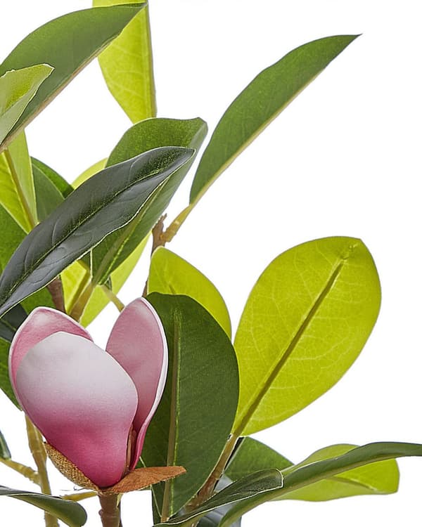 Kunstig Magnolia i Grøn og Lyserød Syntetisk Materiale 70 cm Dekorativt Indendørs Tilbehør