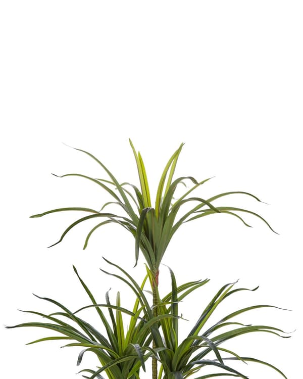 Kunstig Plante Grøn Syntetisk Plastik og Mos 147 cm Urtepotteskjuler med Falsk Plante til Gulv Dekorativ Stue Indendørs Tilbehør Entré Design