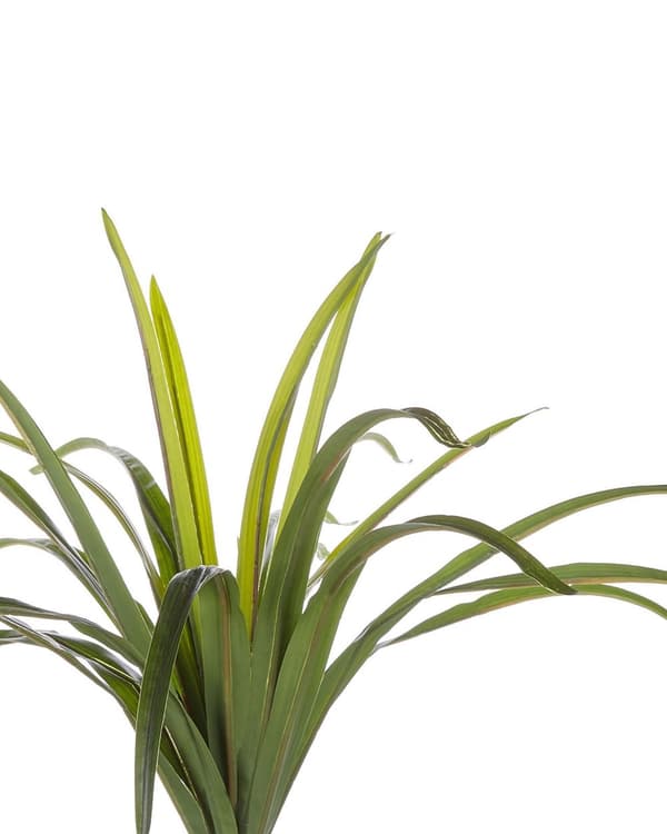Kunstig Plante Grøn Syntetisk Plastik og Mos 147 cm Urtepotteskjuler med Falsk Plante til Gulv Dekorativ Stue Indendørs Tilbehør Entré Design