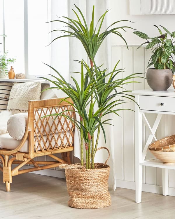 Kunstig Plante Grøn Syntetisk Plastik og Mos 147 cm Urtepotteskjuler med Falsk Plante til Gulv Dekorativ Stue Indendørs Tilbehør Entré Design