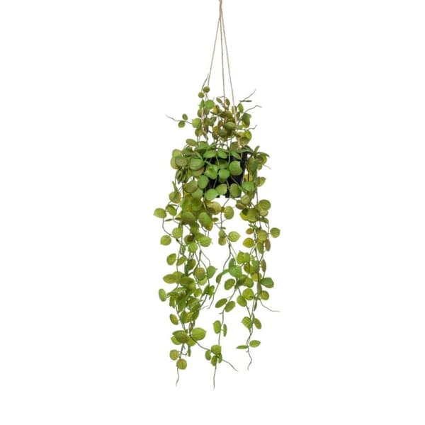 Emerald Artificial Ceropegia hengende busk 50 cm i potte