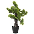 Miniatyrbillede 1 af 7: vidaXL kunstigt fyrretræs-bonsaitræ med potte 60 cm grøn