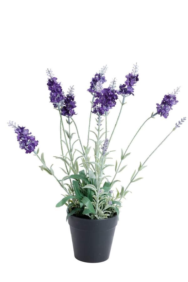 Konstväxt Lavendel H40 Stjernsund Kollektion