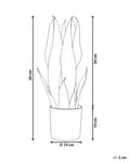 Pikkukuva 3 / 5: Tekokasvi anopinkieli 10 x 40 x 10 cm sisäkäyttöön synteettinen materiaali sammal sementti