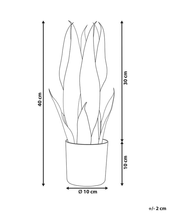 Tekokasvi anopinkieli 10 x 40 x 10 cm sisäkäyttöön synteettinen materiaali sammal sementti