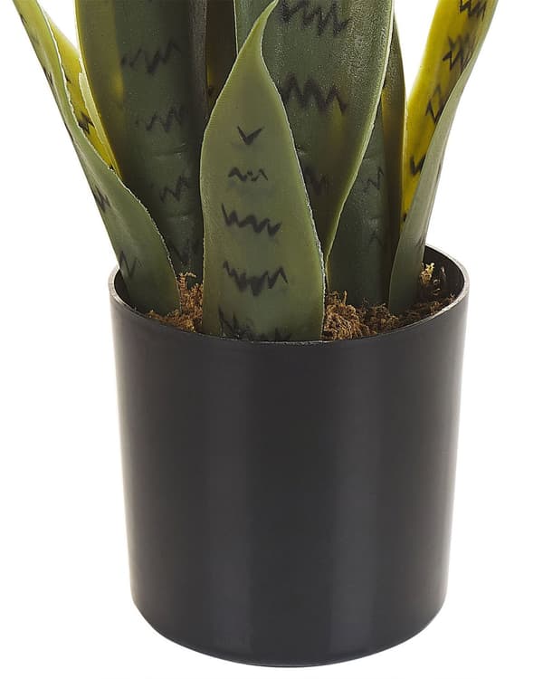 Tekokasvi anopinkieli 10 x 40 x 10 cm sisäkäyttöön synteettinen materiaali sammal sementti