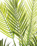 Miniatyrbild 4 av 5: Konstgjord Krukväxt Grön och Svart Syntetiskt Material 83 cm Konst Areca Palm Dekorativ Inomhus Accessoar