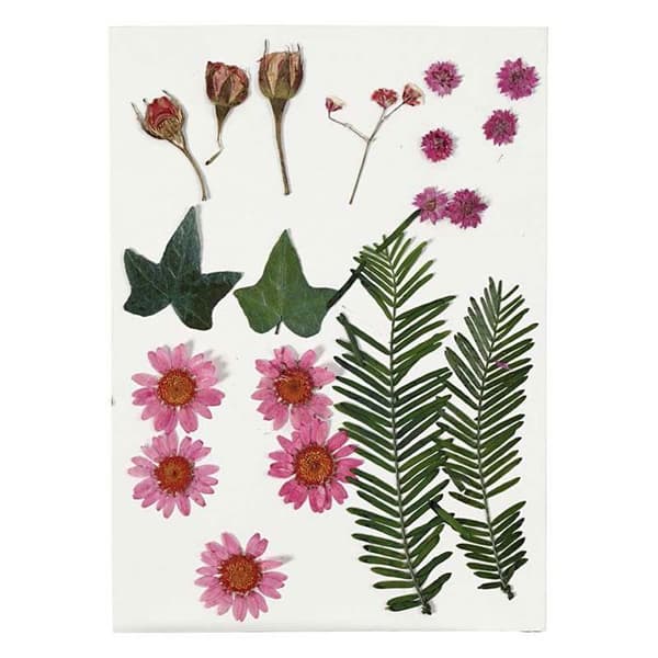 Sortiment av torkade blommor - Röd - 19 stycken - Äkta blommor - Inredning - Blandet