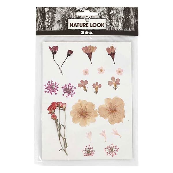 20 Torkade och pressade blommor - Ljusrosa