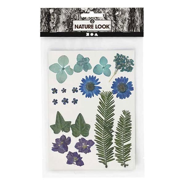 Sortiment av torkade blommor - Blå - 19 st - Äkta blommor - Inredning - Blanda