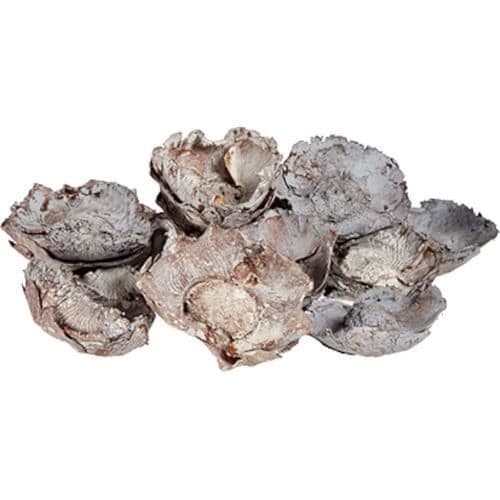 Presentdekor dekoration blommor guld/silver 16 st