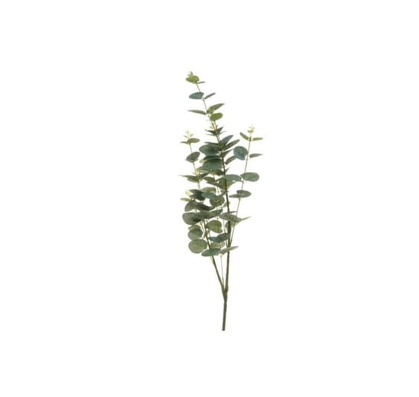 4Living Eukalyptusgren 92 cm