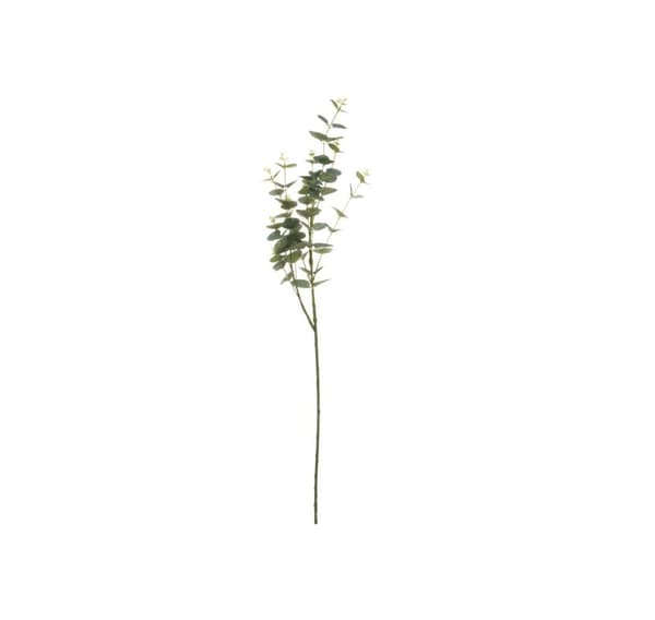4Levende Eukalyptusgren 92 cm