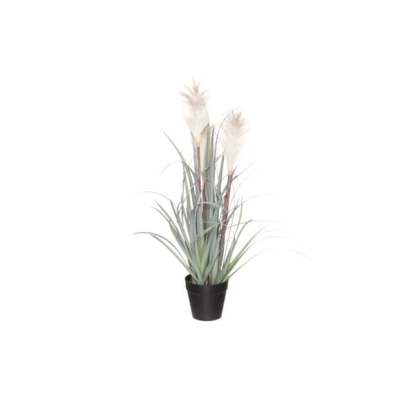 4Living Siv i potte 53 cm sortiment