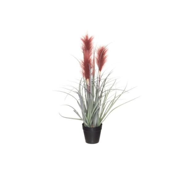 4Living Siv i potte 53 cm sortiment
