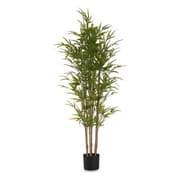 Dekorativ plante Bambus Grøn Plastik (80 x 150 x 80 cm)