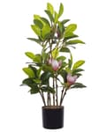 Miniatyrbilde 1 av 6: Kunstig Magnolia i potte Grønt og rosa syntetisk materiale 70 cm Dekorativt tilbehør til innendørsbruk