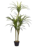Miniatyrbilde 1 av 6: Kunstig Dracaena Grønn Svart Potte 147 cm Innendørs Dekorativt Tilbehør
