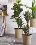 Miniatyrbilde 2 av 5: Kunstig Aloe Vera Potte Grønt og Svart Syntetisk 90 cm Materiale Dekorativt Innendørs Tilbehør