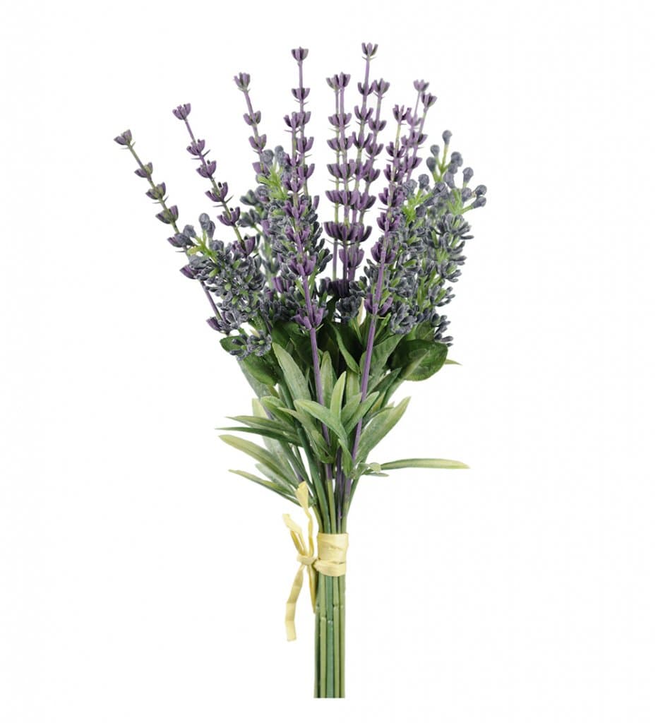 Lavendel