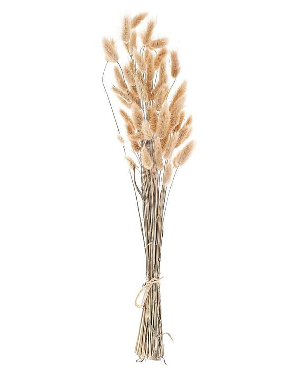 Torkad Blombukett Naturlig 58 cm Insvept i Brunt Papper Naturlig Bordsdekoration Hemtillbehör Vardagsrum Matsal
