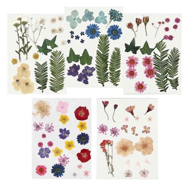 100 flerfärgade torkade och pressade blommor
